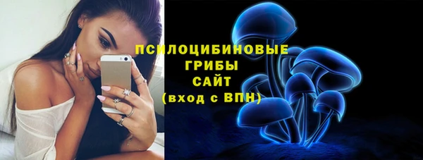 a pvp Алексин