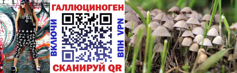 omg вход Наволоки Псилоцибиновые грибы Cubensis