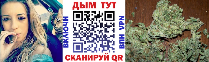 Конопля AK-47  хочу наркоту  Наволоки 